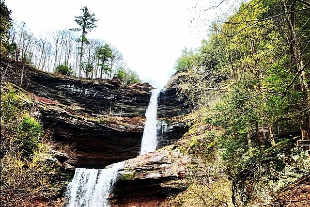 Gripping Legend of the Kaaterskill 'Ghost Dog' Continues to Haunt New York Hikers