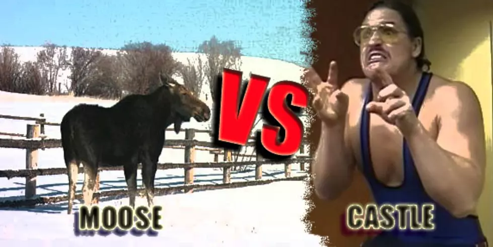 Dalton Has A Spontaneous Moose Fight