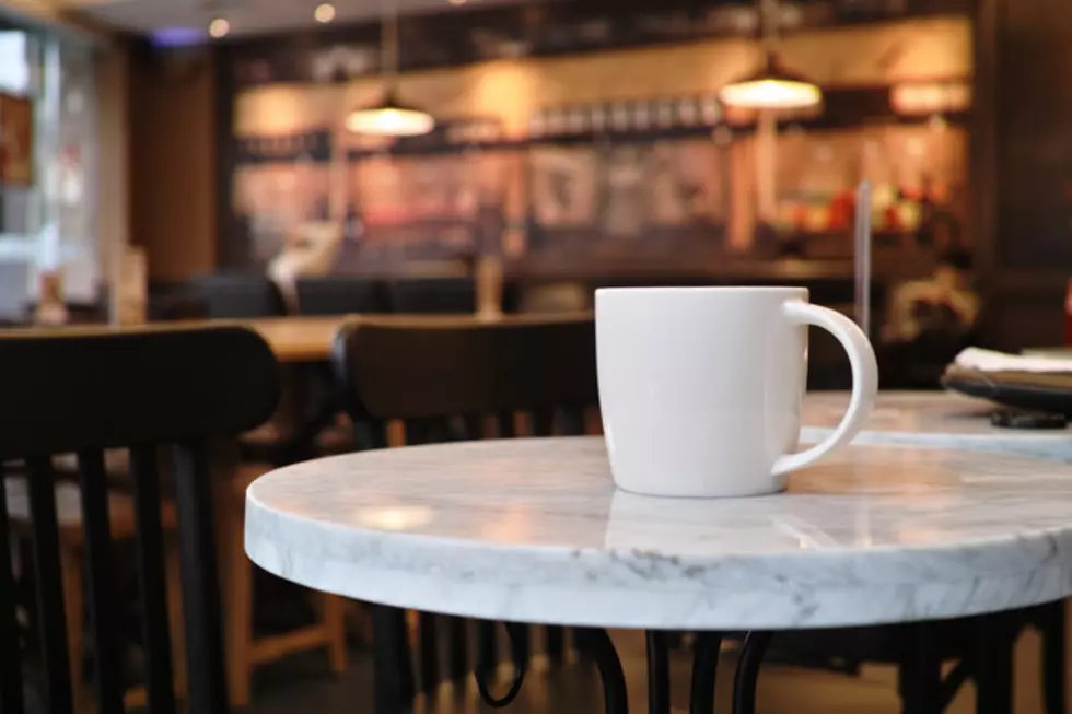 A Cat Cafe is Coming to Troy