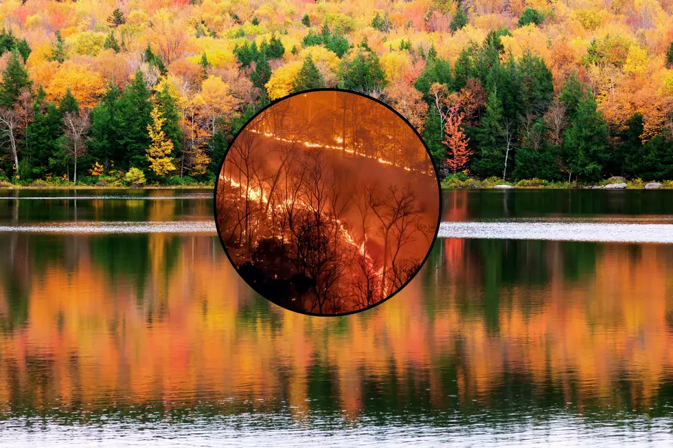 See Heartbreaking Photos Of The Catskill Mountain Wildfires