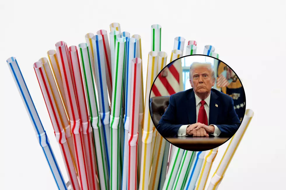 Plastic Straws Soon Returning To New York